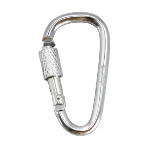 Набір алюмінієвих карабінів сувенірних Tramp 10 шт 5 см з муфтою silver UTRA-299