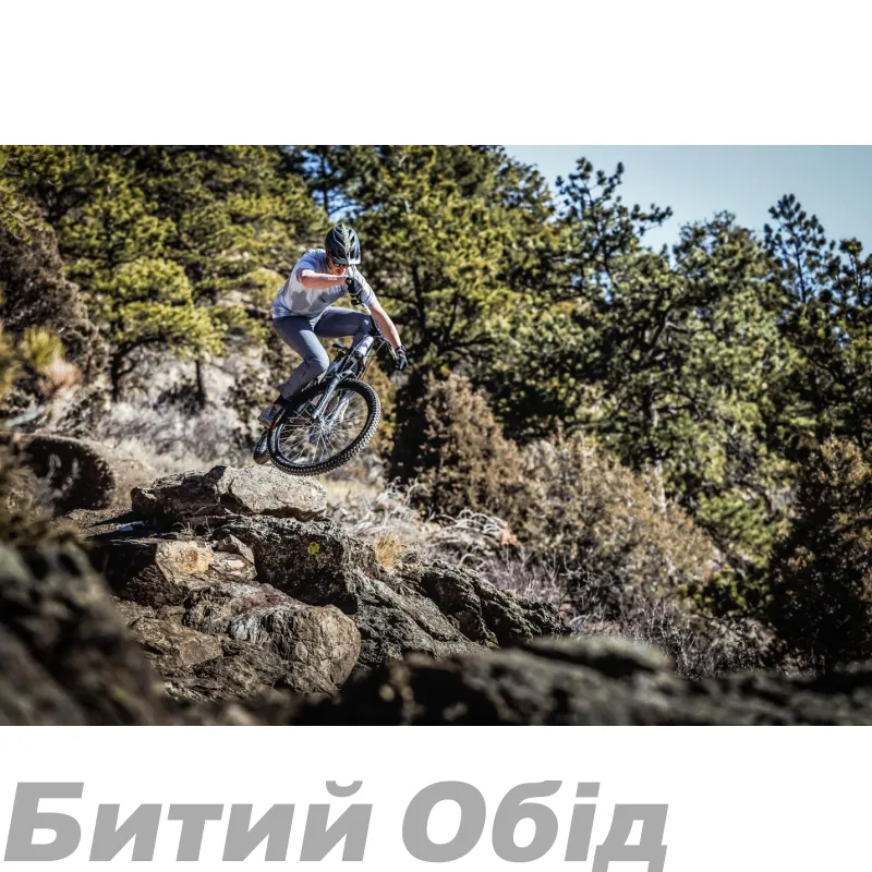 Джерси TLD SKYLINE AIR SS JERSEY; MONO [OXBLOOD]
