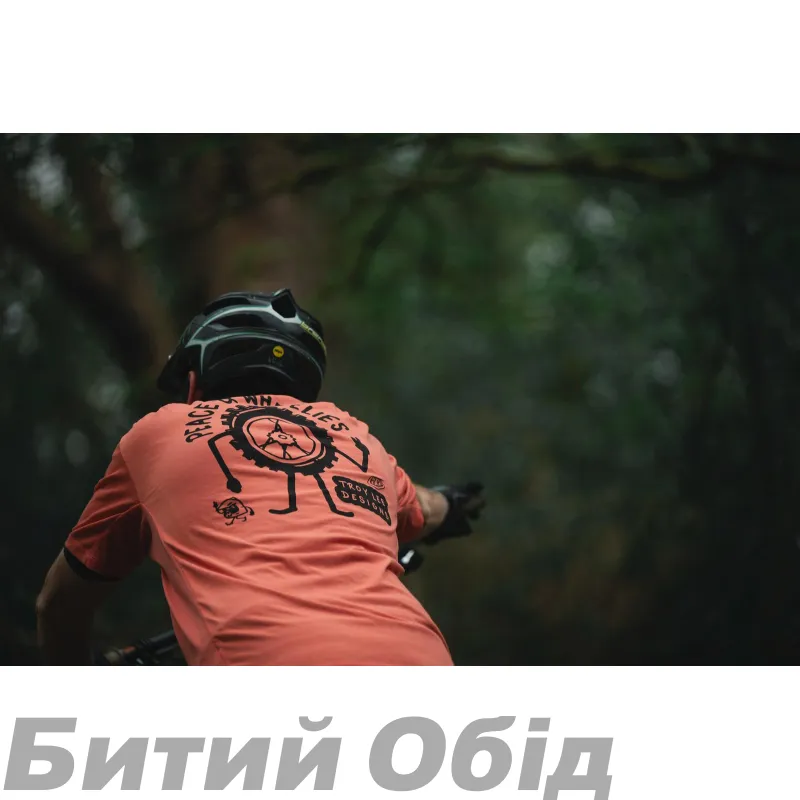 Джерсі TLD SKYLINE SS JERSEY; RADIOSCAPE [MIST]