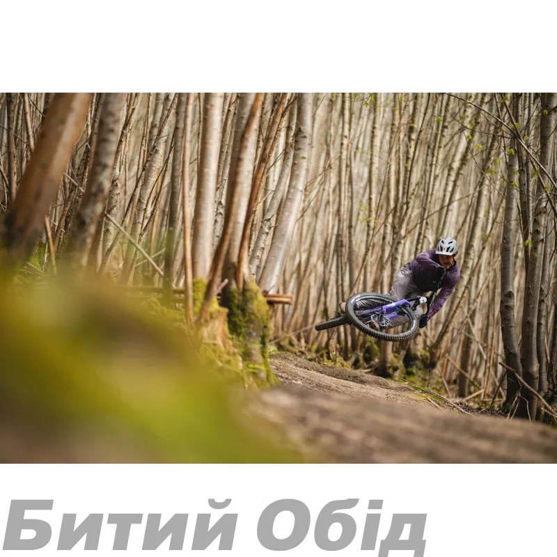 Джерсі TLD SKYLINE LS JERSEY; RADIOSCAPE [DEEP PURP] 