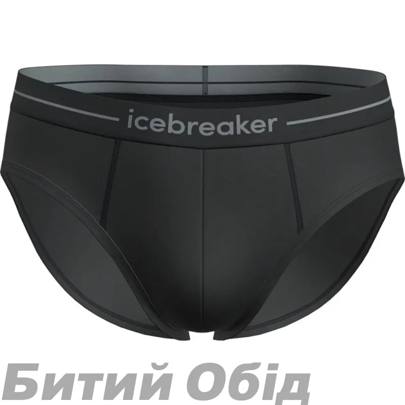 Труси ICEBREAKER Anatomica Briefs MEN BLACK