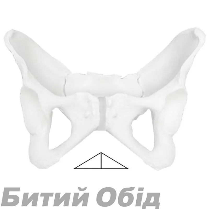 Сідло Ergon SR Allroad Women 