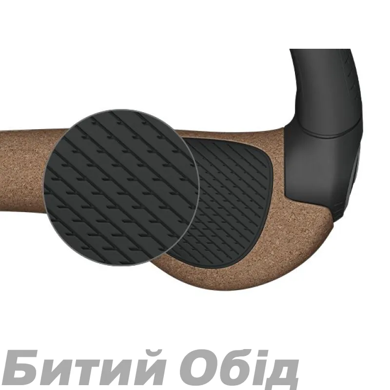 Гріпси Ergon GP2-L Evo BioKork