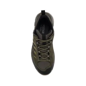 Кроссовки LOWA Innovo GTX LO olive-amber green 
