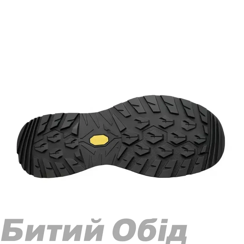 Кросівки LOWA Renegade Evo GTX LO olive-beige 