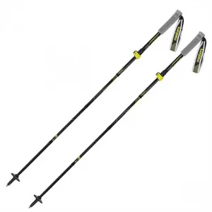 Палиці трекінгові Masters TRECIME Tour Carbon