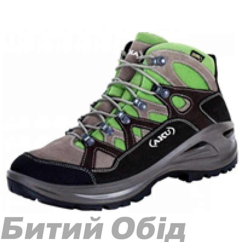 Черевики AKU ERERA GTX GREY / GREEN 