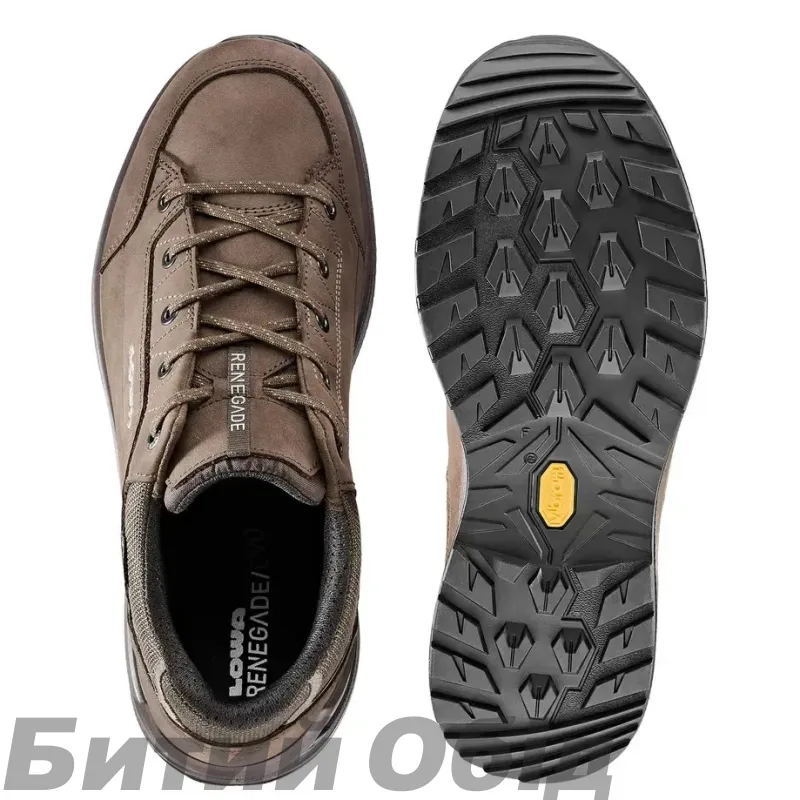 Кросівки LOWA Renegade Evo GTX LO espresso-black
