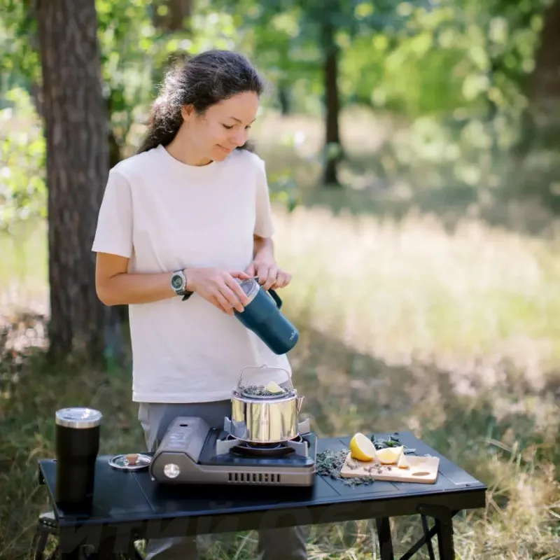 Чайник Tribe Kettle 1,2 л стальной T-FI-0010-metal