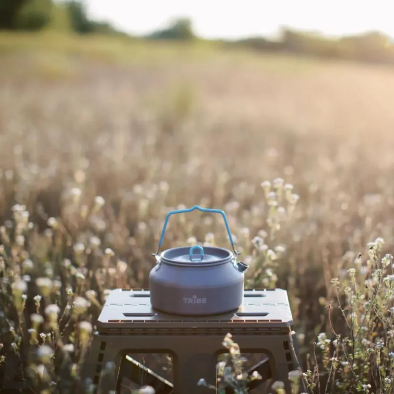 Чайник Tribe Kettle Alu 1 л алюминиевый T-FI-0013-grey