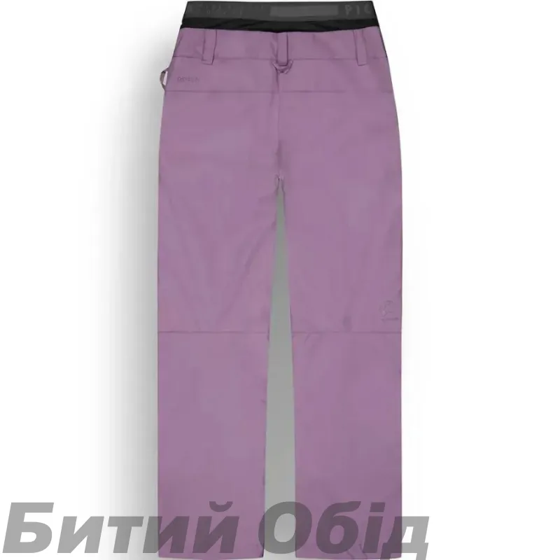 Picture Organic брюки лыжные Treva W 2026 