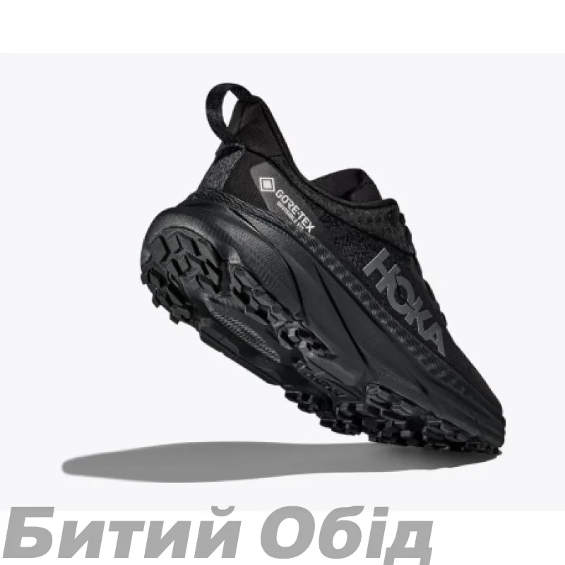 Кроссовки HOKA W CHALLENGER ATR 7 GTX BBLC 