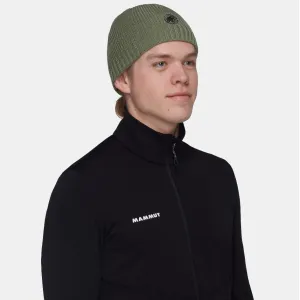Шапка Mammut Sublime Beanie marsh.one size