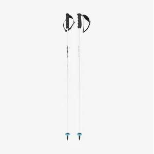 Горнолыжные палки HEAD 25 Worldcup Rebels Carbon white 135 