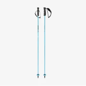 Горнолыжные палки HEAD 25 Worldcup Rebels Carbon speed blue 