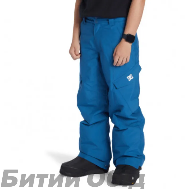 Штани DC BANSHEE  SNPT BQP0 