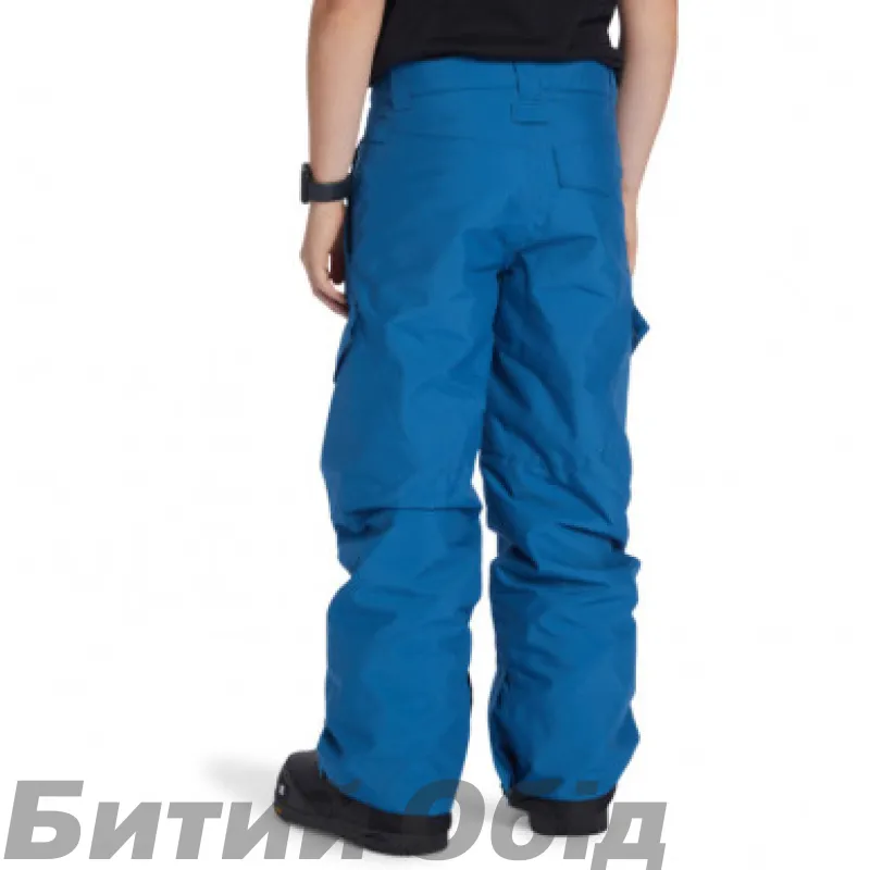 Штани DC BANSHEE  SNPT BQP0 