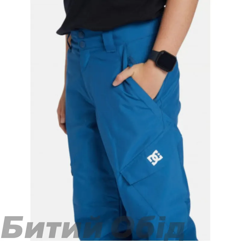 Штани DC BANSHEE  SNPT BQP0 