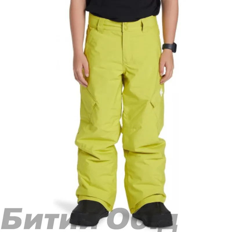 Штани DC BANSHEE  SNPT GHS0 