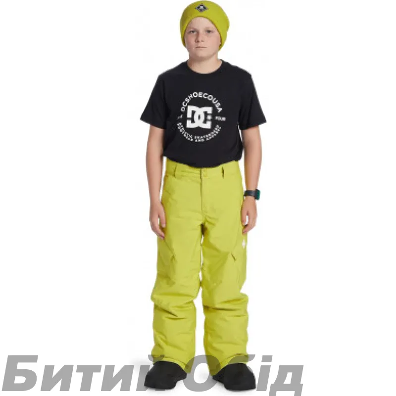 Штани DC BANSHEE  SNPT GHS0 