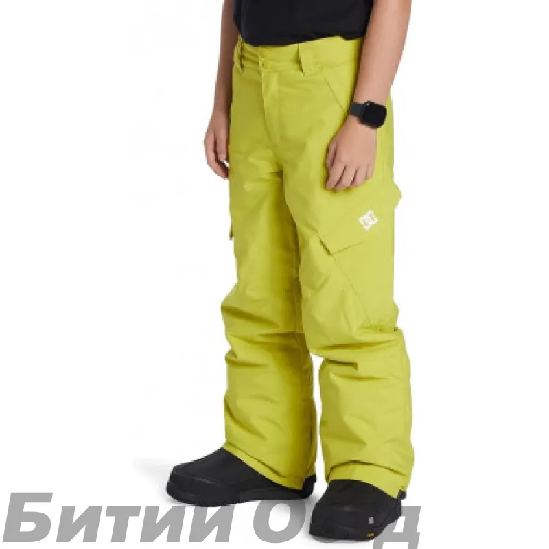 Штани DC BANSHEE  SNPT GHS0 