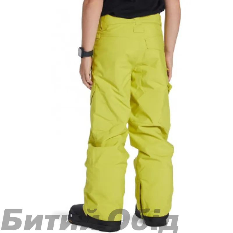 Штани DC BANSHEE  SNPT GHS0 