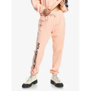 Спортивные штаны Quiksilver ENDLESSTIME W OTLR MEB0 M