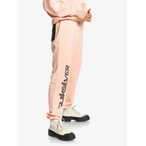 Спортивные штаны Quiksilver ENDLESSTIME W OTLR MEB0 M