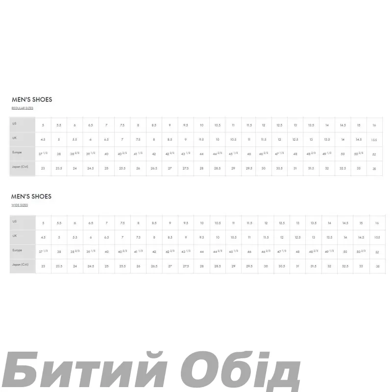 Кросівки HOKA M RINCON 4 FLY