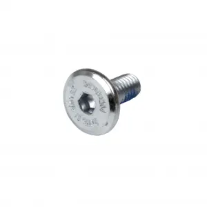 Винт крепления PWR 23 HEX Mounting Screw 13,5mm, big Head