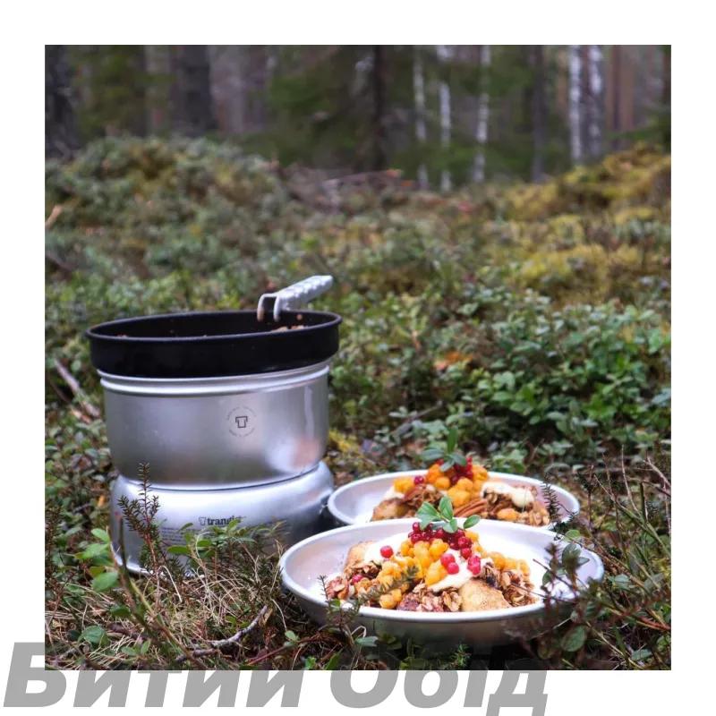 Набор посуды со спиртовой горелкой Trangia Stove 25-23 UL/D (1.75 / 1.5 л)