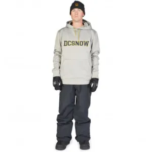 Худи DC SNOWSTAR M OTLR SLA0 Wild Dove - Solid L 