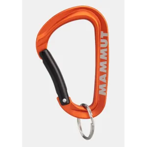 Карабин Mammut Mini Carabiner Workhorse Keylock L one size