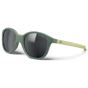 Очки JULBO THEA SPECTRON