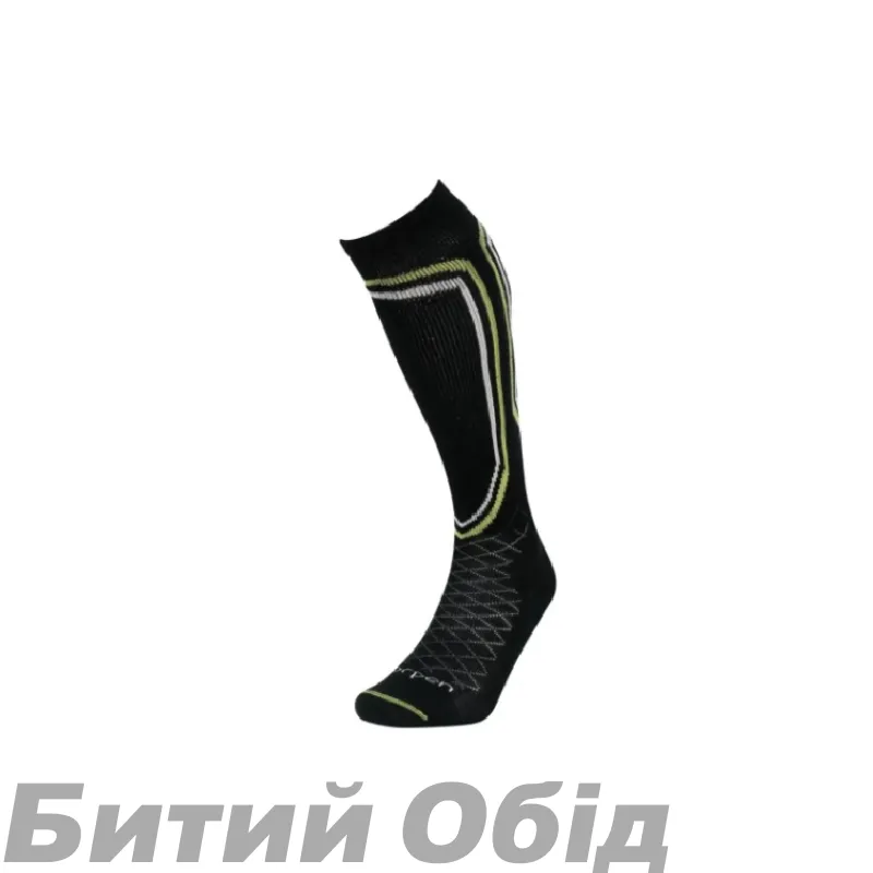 Шкарпетки Lorpen T2 Men's Ski Light S2SML (6310254) 