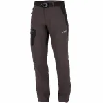 Брюки Directalpine CRUISE 1.0 darkgrey/black 