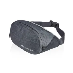 Поясна сумка Gregory NANO WAISTPACK ESSENTIAL