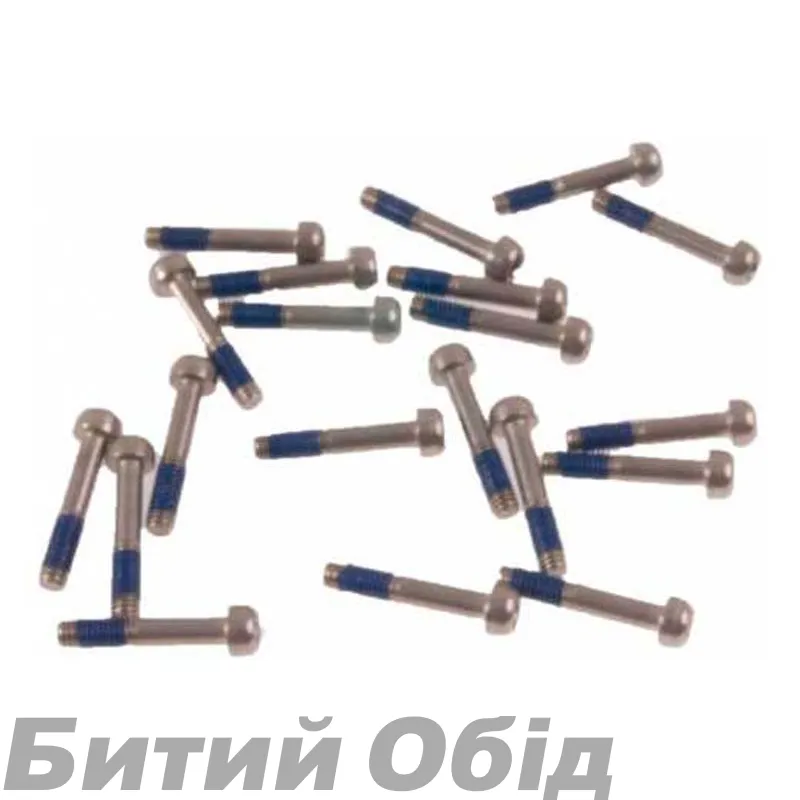 Болт для адаптера дискового гальма SRAM BULK CPS MOUNTING BOLT 