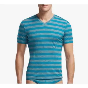 Футболка Icebreaker BF 150 Anatomica SS V MEN stripe alpine/metro 