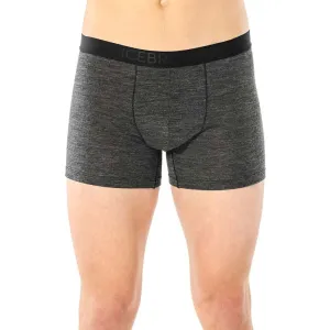 Трусы Icebreaker Anatomica Cool-Lite Mens 