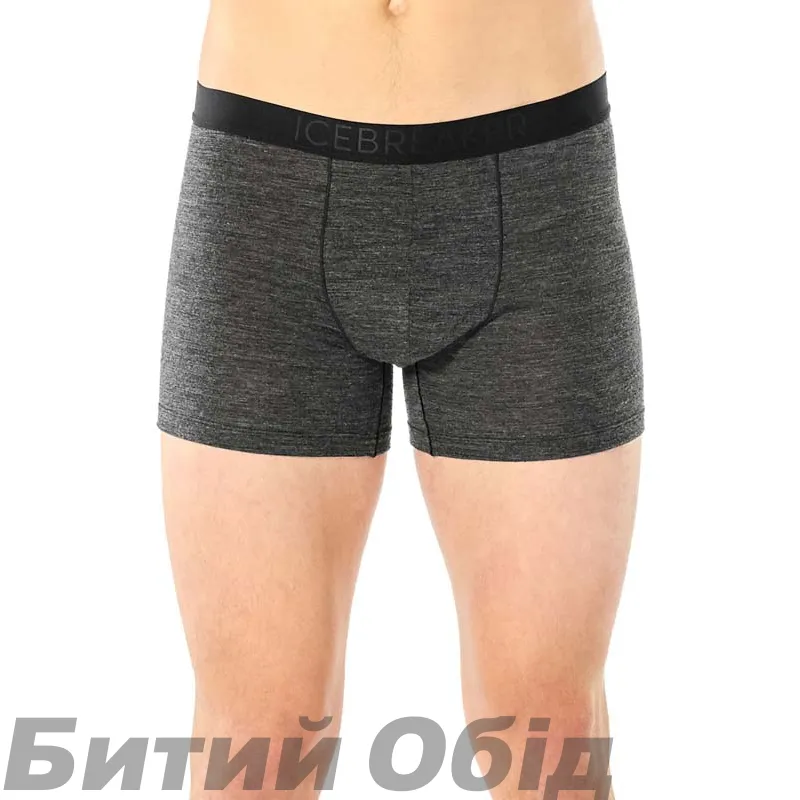 Труси Icebreaker Anatomica Cool-Lite Mens 