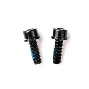 Болти кріплення калипера TRP Flat Mount Mounting bolt