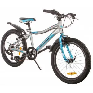 Дитячий велосипед LEROCK RX20 20" SILVER/BLUE