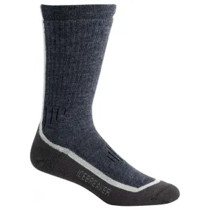Носки Icebreaker Mountaineer Mid Calf WMN 