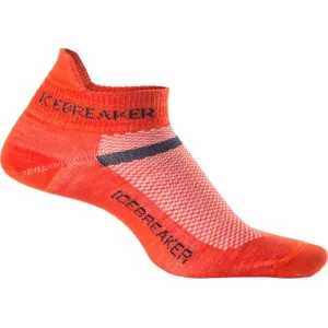 Носки Icebreaker Multisport UltraLight micro MEN