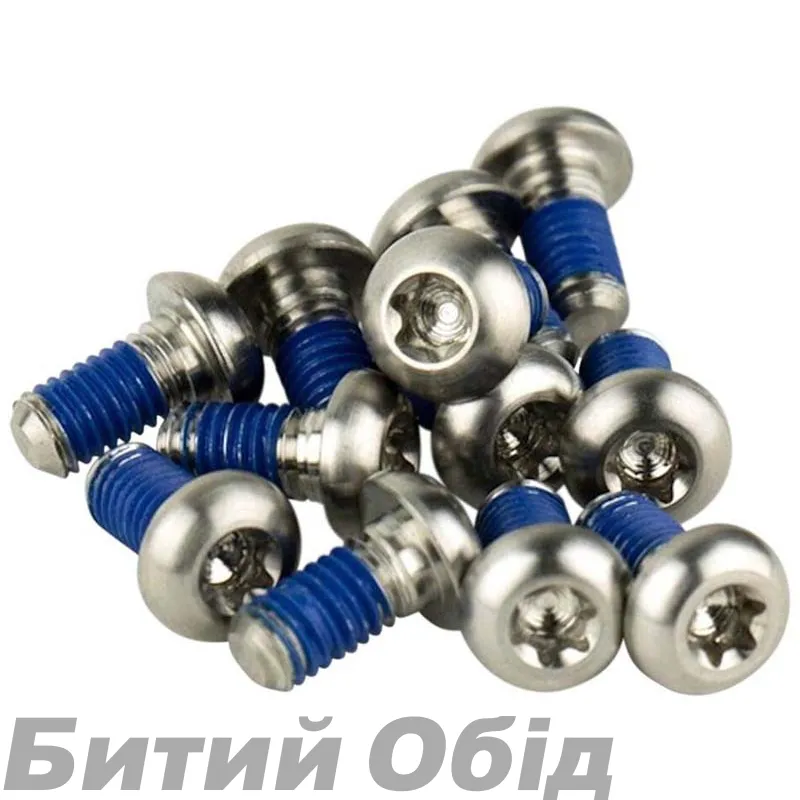 Болти ротора SRAM - Titanium T25. Silver Bolts (12шт)
