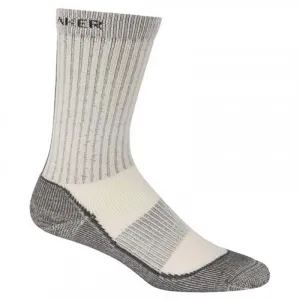 Носки Icebreaker Outdoor Mid Crew MEN 