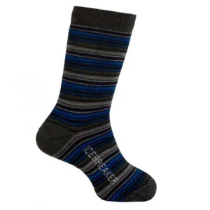 Носки Icebreaker Kids City UltraLite Crew BOY oil 