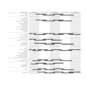 Велосипед SCOTT Speedster 50 (CN) 
