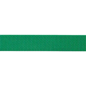 Стропа BEAL FLAT TAPE UNIE 26MMx100M GREEN
